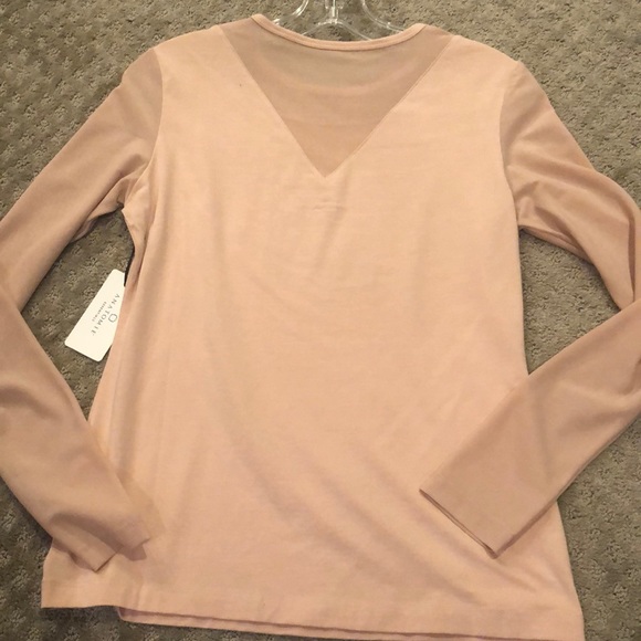 Anatomie long sleeve mesh Kim top in blush! - Picture 2 of 4